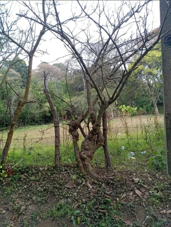 TERRENO en Venta - El Manzanillo Mixco — foto 2 de 3