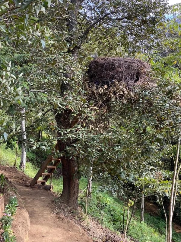VENTA DE PROPIEDAD – TERRENO BESO DE LUNA — foto 2 de 16
