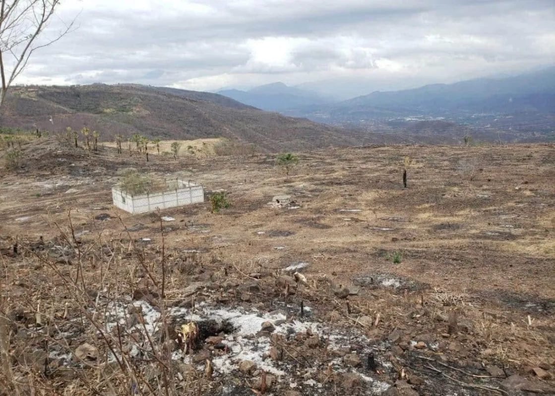Terreno en VENTA El Progreso Guastatoya — foto 3 de 5