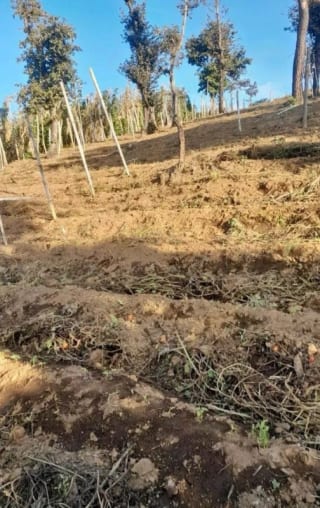 TERRENO en venta, Santa Marta, Sumpango — miniatura 1 de 2