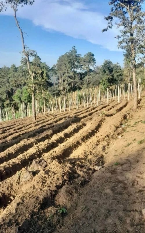 TERRENO en venta, Santa Marta, Sumpango — foto 2 de 2