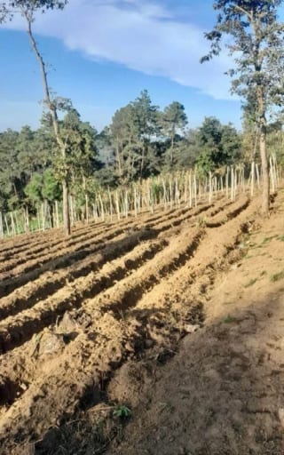 TERRENO en venta, Santa Marta, Sumpango — miniatura 2 de 2