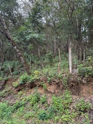 Terreno en Venta -  Tronco 10 El Encinal, zona 7 Mixco — miniatura 6 de 6