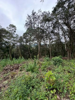 Terreno en Venta -  Tronco 10 El Encinal, zona 7 Mixco — miniatura 5 de 6