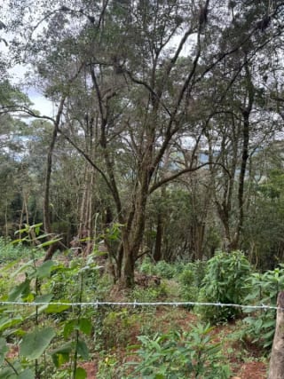Terreno en Venta -  Tronco 10 El Encinal, zona 7 Mixco — miniatura 3 de 6