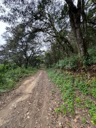Terreno en Venta -  Tronco 10 El Encinal, zona 7 Mixco — miniatura 2 de 6