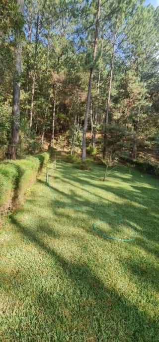 Terreno en Venta - Praderas de  Bambú, San Raymundo — miniatura 1 de 11