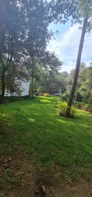 Terreno en Venta - Praderas de  Bambú, San Raymundo — miniatura 10 de 11