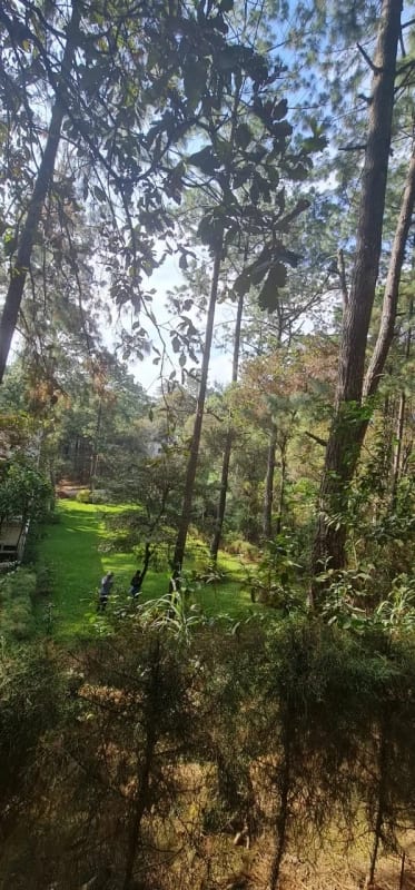 Terreno en Venta - Praderas de  Bambú, San Raymundo — foto 9 de 11
