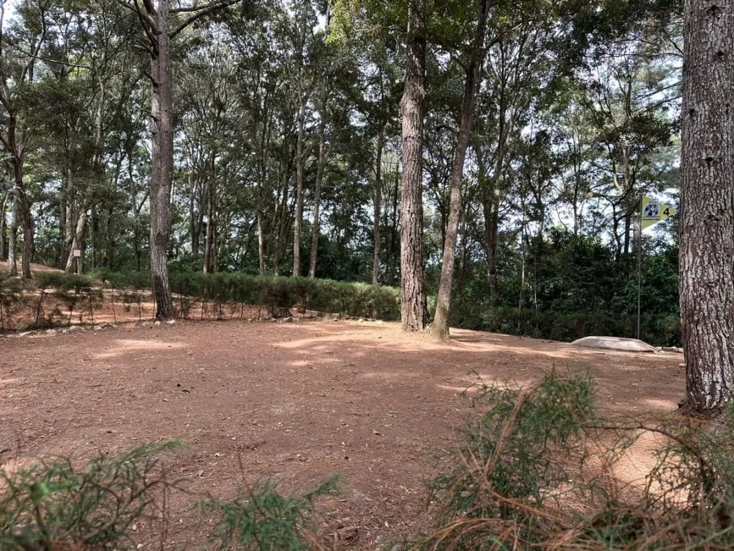 Terreno en Venta - Praderas de  Bambú, San Raymundo — foto 8 de 11