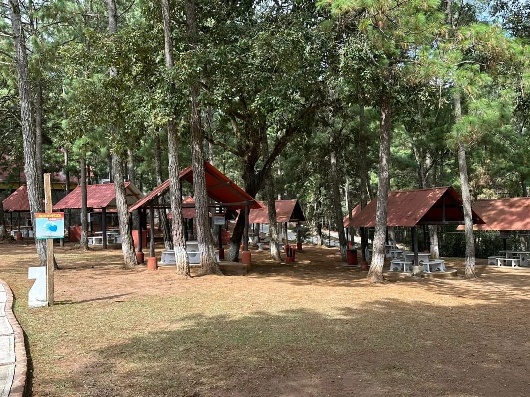 Terreno en Venta - Praderas de  Bambú, San Raymundo — foto 5 de 11