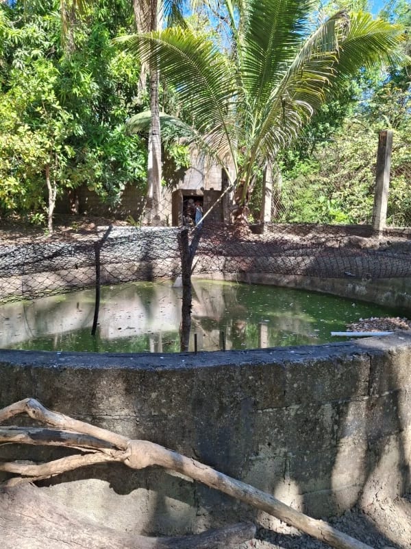 Granja en Venta- El Edén Guanagazapa, Escuintla — foto 2 de 10