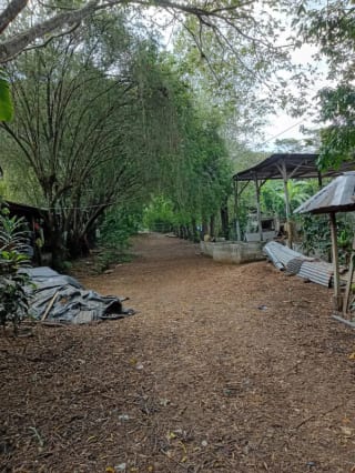 FINCA en Venta  -   KM76 CAES — miniatura 1 de 2