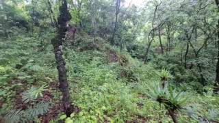 TERRENO en Venta - San Pedro Sacatepequez — miniatura 7 de 7