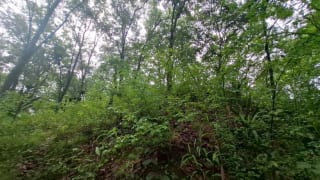 TERRENO en Venta - San Pedro Sacatepequez — miniatura 6 de 7