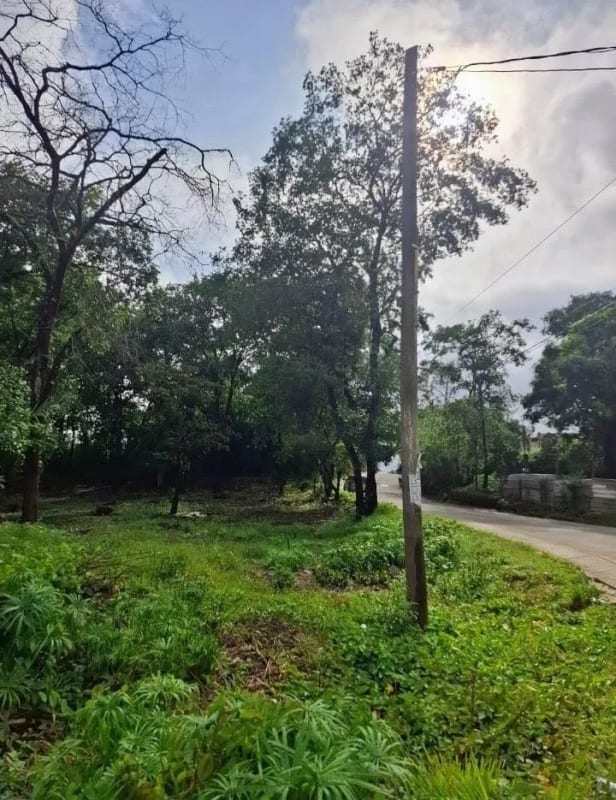 TERRENO en Venta - San Pedro Sacatepequez — foto 5 de 7