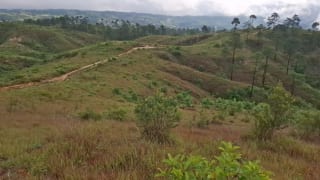 GRANJA en Venta - San Pedro Sacatepéquez Prados de La Floresta — miniatura 8 de 9