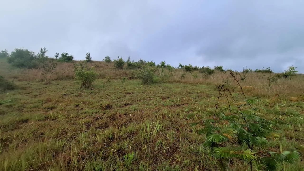 GRANJA en Venta - San Pedro Sacatepéquez Prados de La Floresta — foto 6 de 9