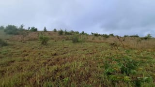 GRANJA en Venta - San Pedro Sacatepéquez Prados de La Floresta — miniatura 6 de 9