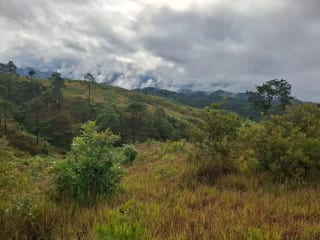 GRANJA en Venta - San Pedro Sacatepéquez Prados de La Floresta — miniatura 5 de 9