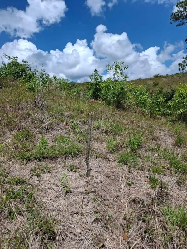 GRANJA en Venta - San Pedro Sacatepéquez Prados de La Floresta — foto 2 de 9