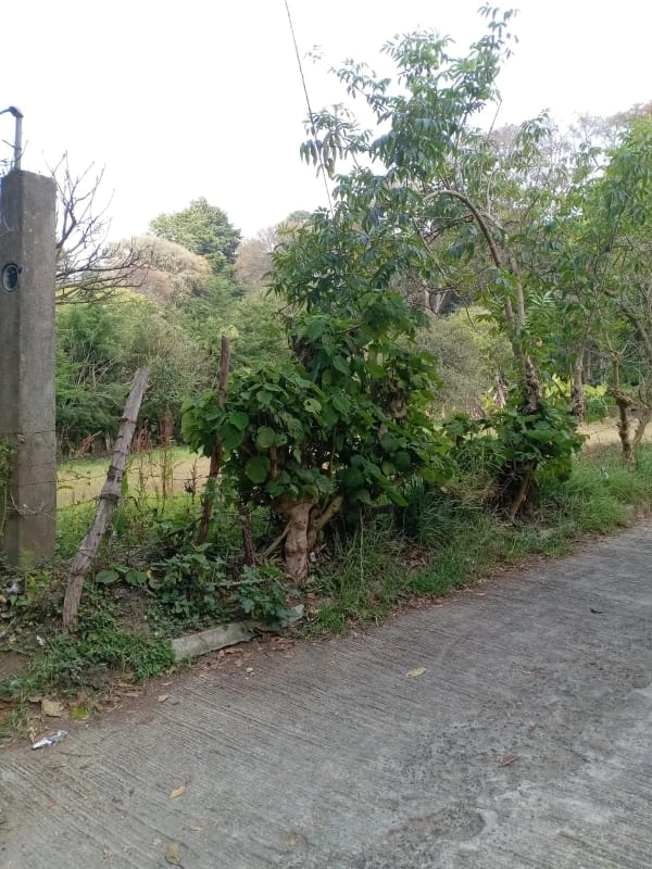 TERRENOS  en Venta  (2)  - El Manzanillo, Mixco zona 1 — foto 8 de 9