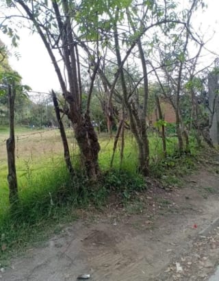 TERRENOS  en Venta  (2)  - El Manzanillo, Mixco zona 1 — miniatura 6 de 9