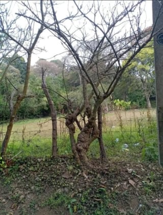 TERRENOS  en Venta  (2)  - El Manzanillo, Mixco zona 1 — miniatura 5 de 9