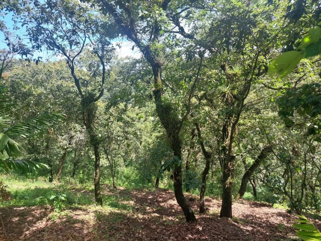 TERRENO en Venta-  Alamedas de Yumar, zona 6 mixco — foto 2 de 13