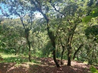 TERRENO en Venta-  Alamedas de Yumar, zona 6 mixco — miniatura 2 de 13
